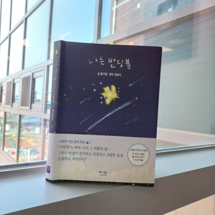  꿈을 향한 나의 작은 기록 <나는 반딧불> 힐링 필사 에세이 글 황가람 원작 정중식