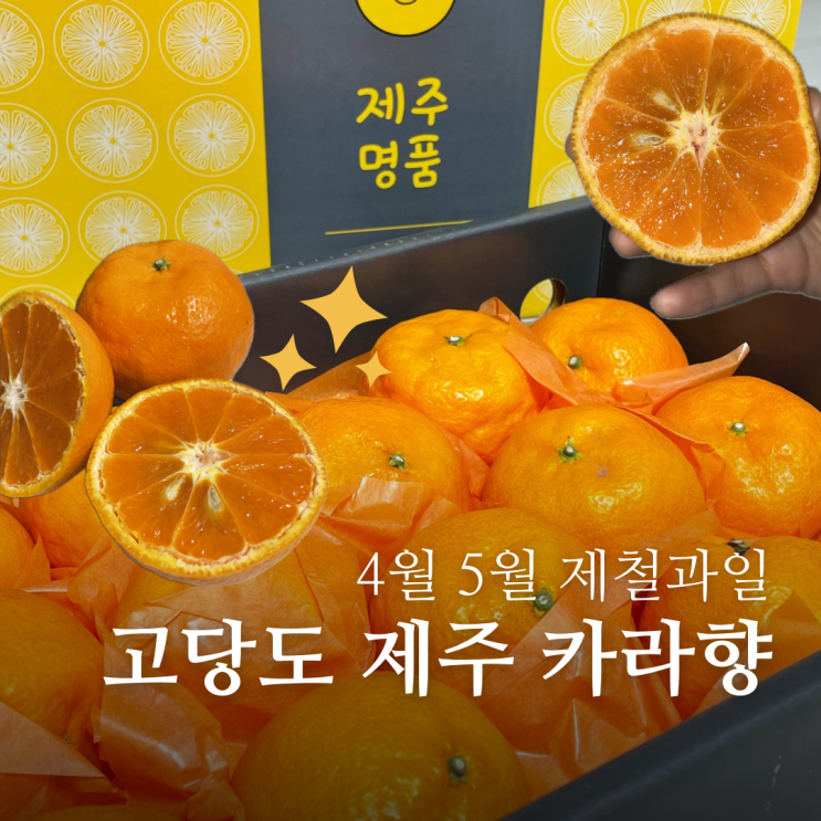 4월 5월 제철과일 카라향 3kg 고당도 제주카라향 과일선물세트 추천
