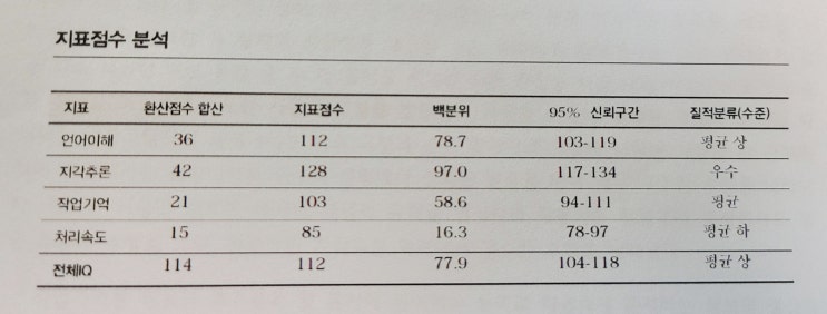  조용한 ADHD 초등 풀베터리/웩슬러 지능 검사 후기