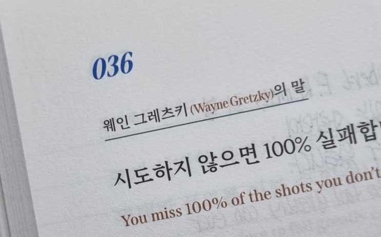  036 나는 시도하지 않으면 아무것도 얻을 수 없음을 안다