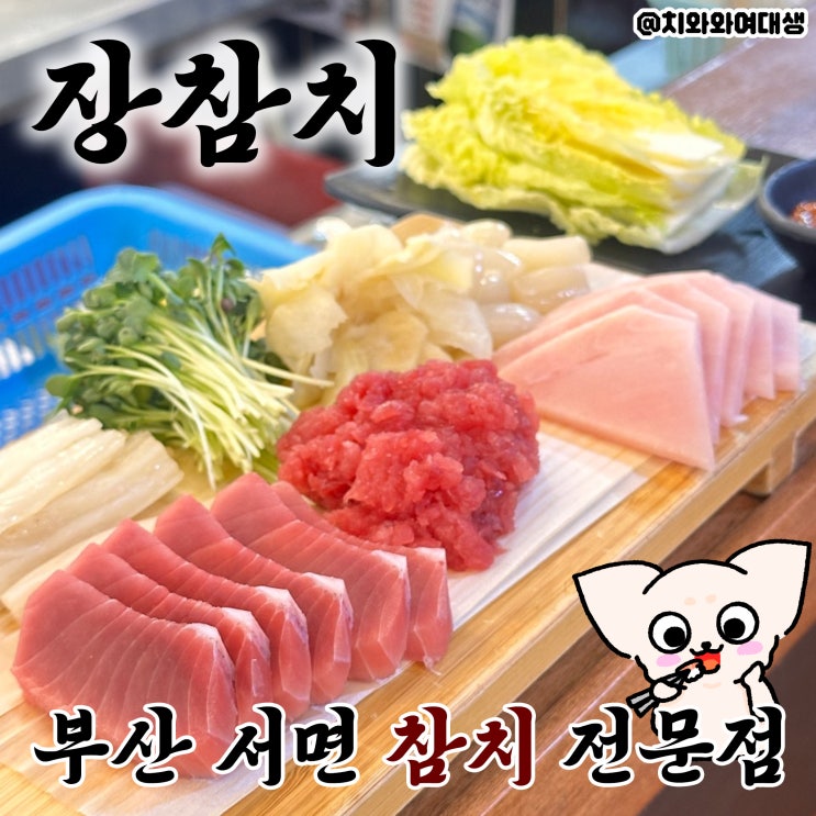  서면역 참치맛집 장참치 택시기사 애정술집