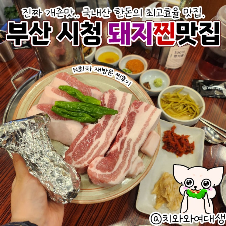  부산시청고기추천 동래정 재방문 맛집
