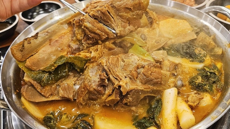  논현역 술집 추천{서울 논현동 맛집&논현역 회식장소} top5 후기