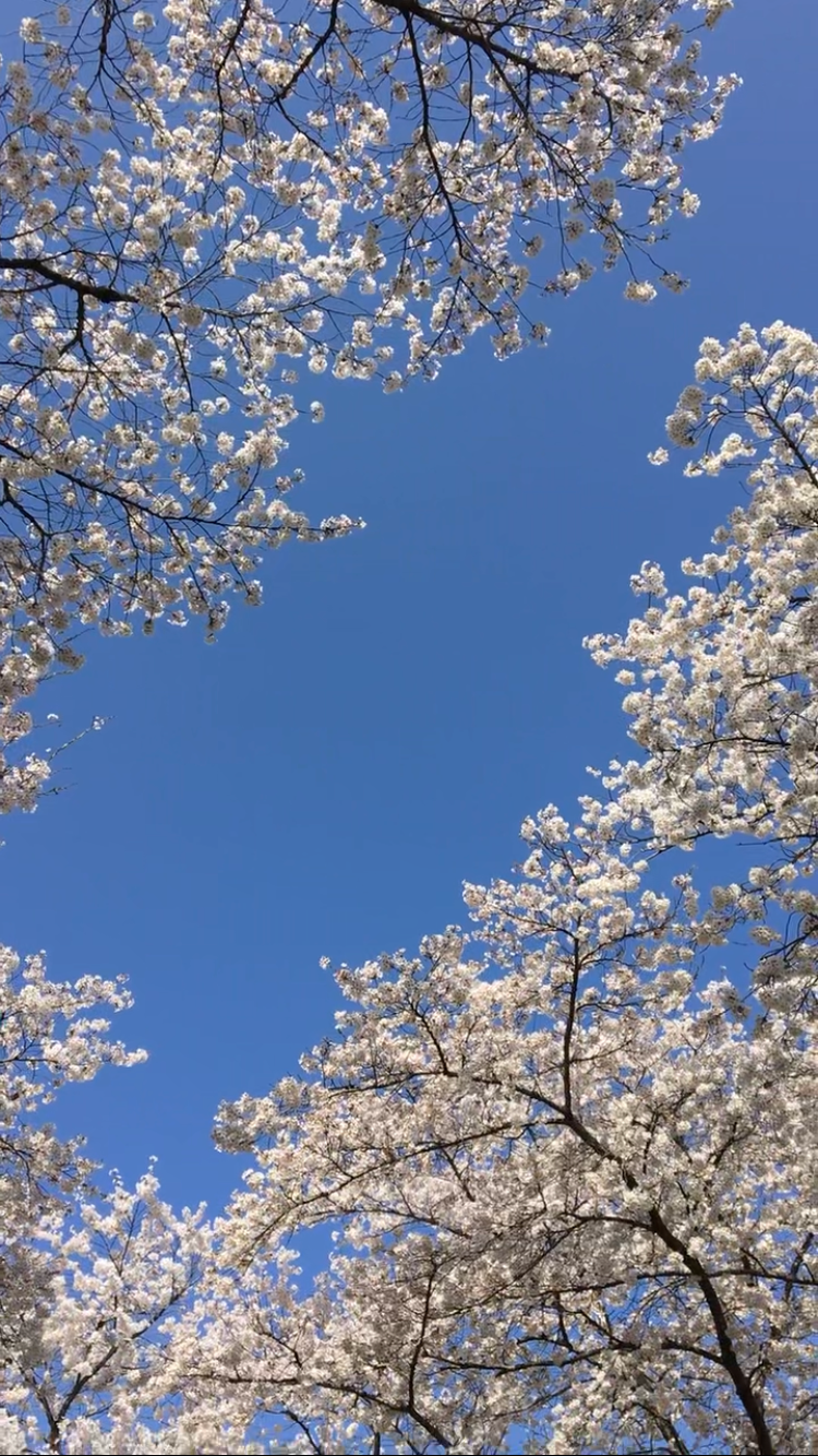 사진 8