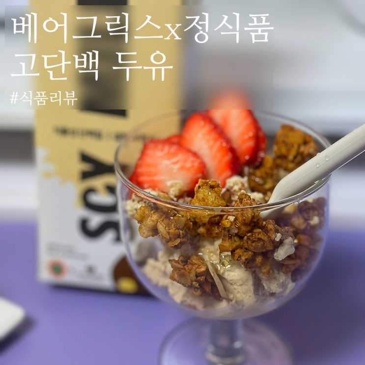  그릭요거트 만들기 좋은 고담백두유 고소한 두유요거트 만들기