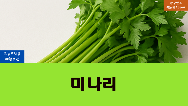  미나리 효능 부작용 및 제철 보관