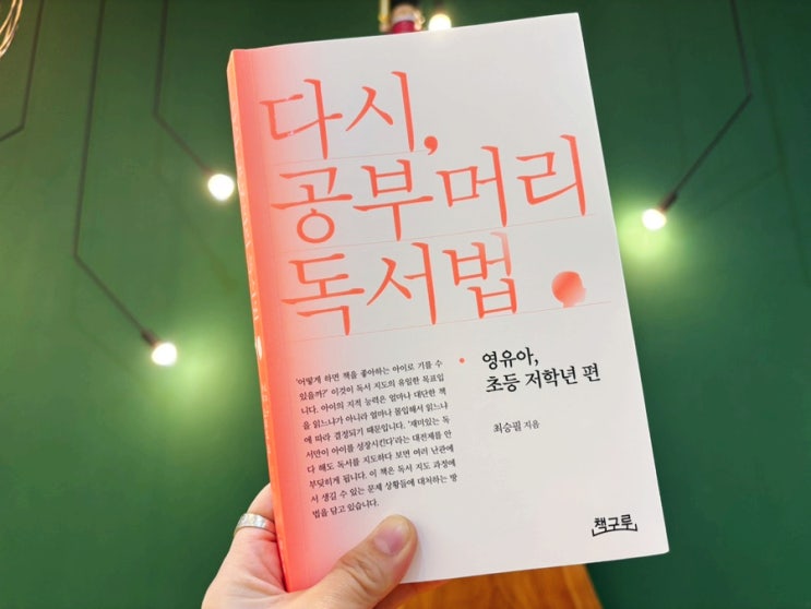  영유아 초등 저학년 독서지도 필수 지침서 다시 공부머리 독서법