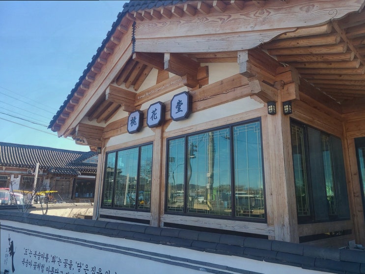  [맛집리뷰] 도화당 들기름 칼국수, 경주 점심 맛집에서의 특별한 경험