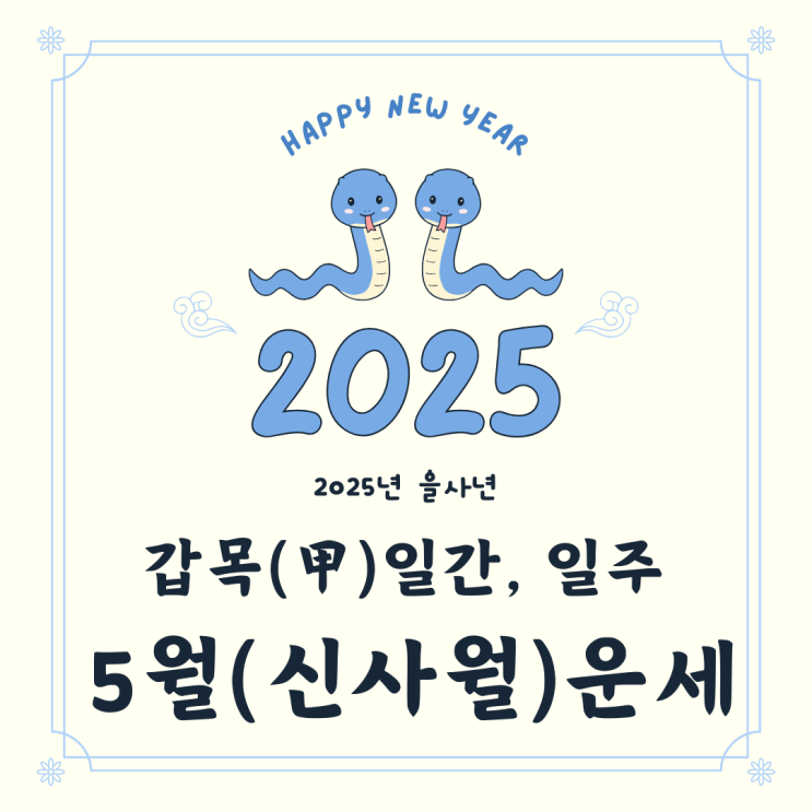   2025년 을사년 5월 신사월 갑목일간 갑목일주 운세 