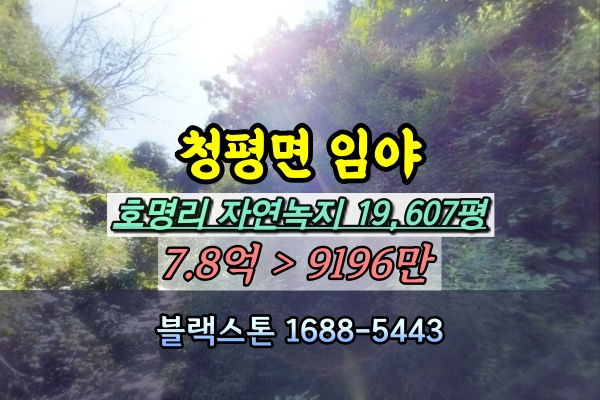  가평군 청평면 임야 경매 2만평 1억 [2023타경2913]