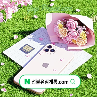  핸드폰 공기계 아이폰 공장초기화 유심 개통️
