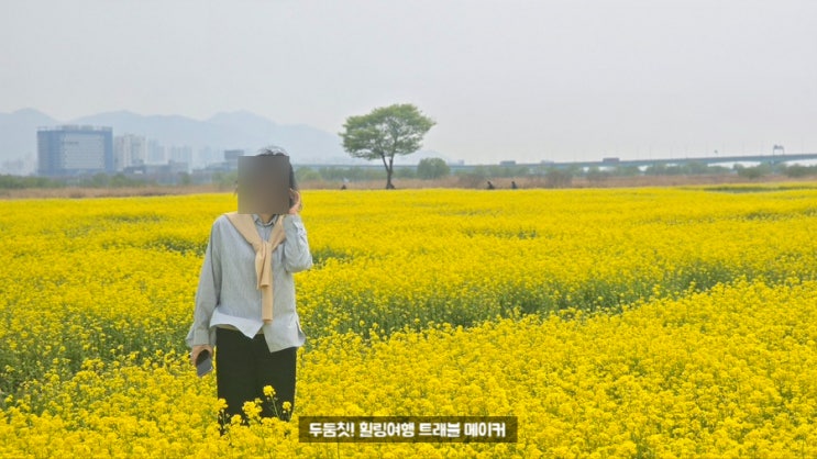  대저생태공원 유채꽃, 부산여행 봄꽃 명소 추천