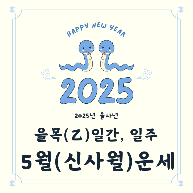   2025년 을사년 5월 신사월 을목일간 을목일주 운세 