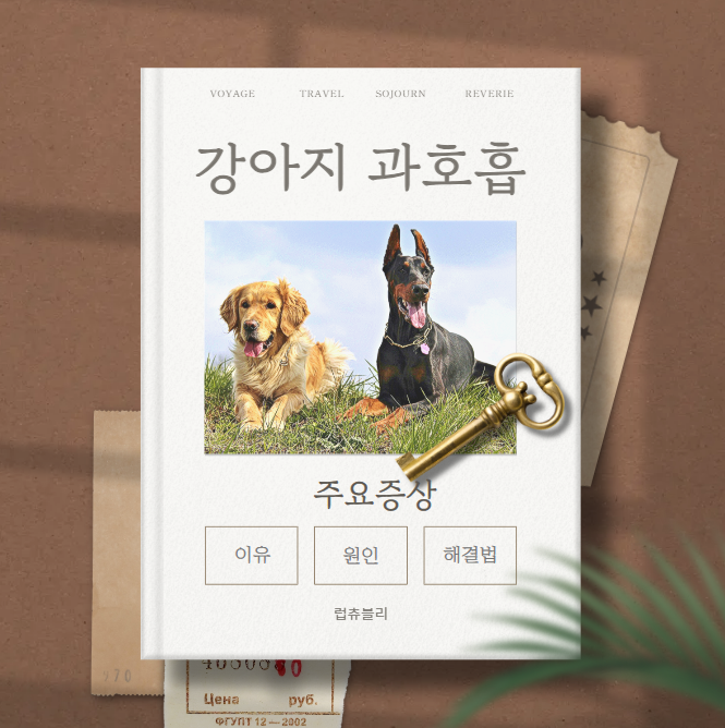 강아지 스트레스호흡 과호흡의 이유와 원인, 증상과 예방 관리 팁