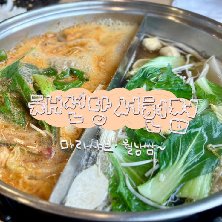  분당 샤브샤브 맛집 채선당 - 서현역 마라샤브샤브 솔직 후기