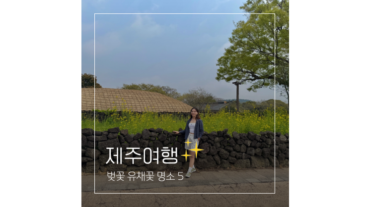  4월 제주도 가볼만한곳 ㅣ 남쪽 드라이브코스 벚꽃 유채꽃 명소 5