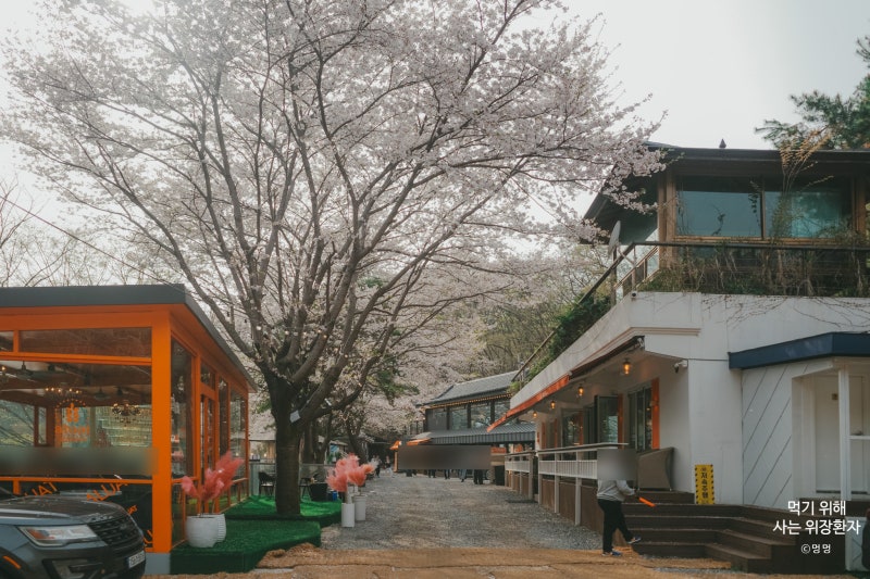 사진 3