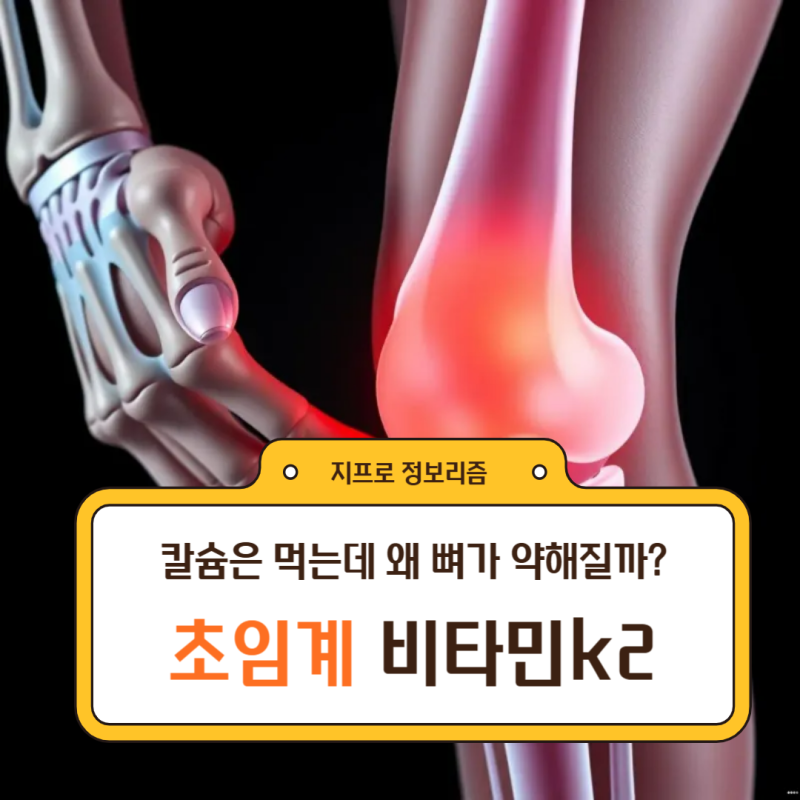 초임계 뜻, 비타민K2 효능 : 비타민k2복용량
