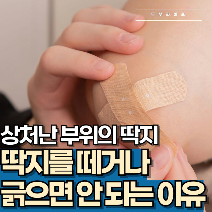  "상처난 부위의 딱지" 딱지를 떼거나 긁으면 안 되는 이유