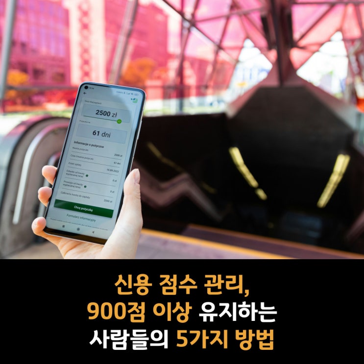  신용 점수 관리, 900점 이상 유지하는 사람들은 이렇게 합니다.