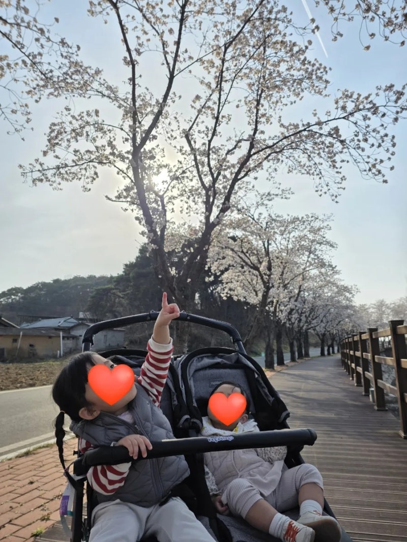 [뻬그뻬레고 북포투] 내돈 내산 쌍둥이 유모차 연년생 유모차 1년 사용 후기