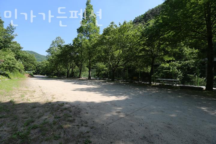 민가가든펜션 사진 4