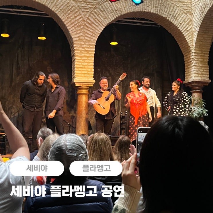  세비야 플라멩고 공연 추천 박물관 공연장 예약, 시간, 가격