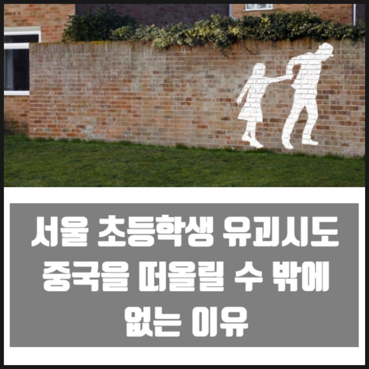 서울 강남구 역삼동 초등학생 유괴시도 중국 떠오르는 이유 서울 강남구 역삼동 초등학생 유괴시도 중국 떠오르는 이유