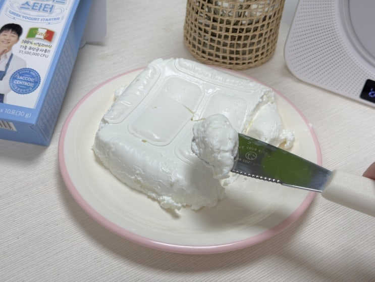  한일톱텐쇼 문경편 박서진 그릭요거트 스타터로 아기 간식 요거트 만들기