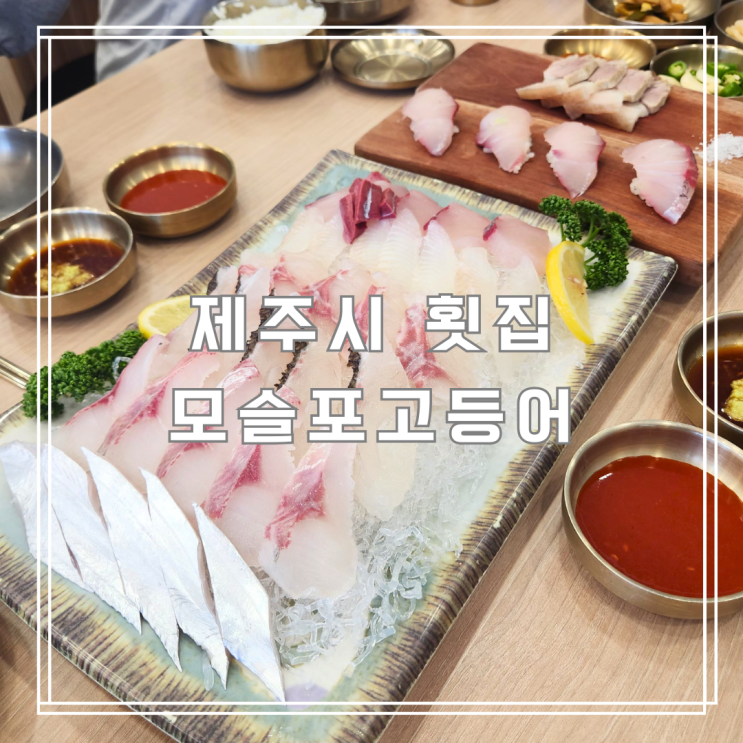  가성비 좋은 제주시 횟집 모슬포고등어