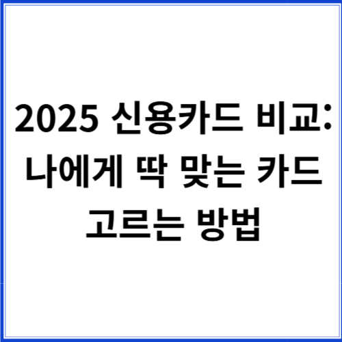 2025 신용카드 비교: 나에게 딱 맞는 카드 고르는 방법 2025 신용카드 비교: 나에게 딱 맞는 카드 고르는 방법