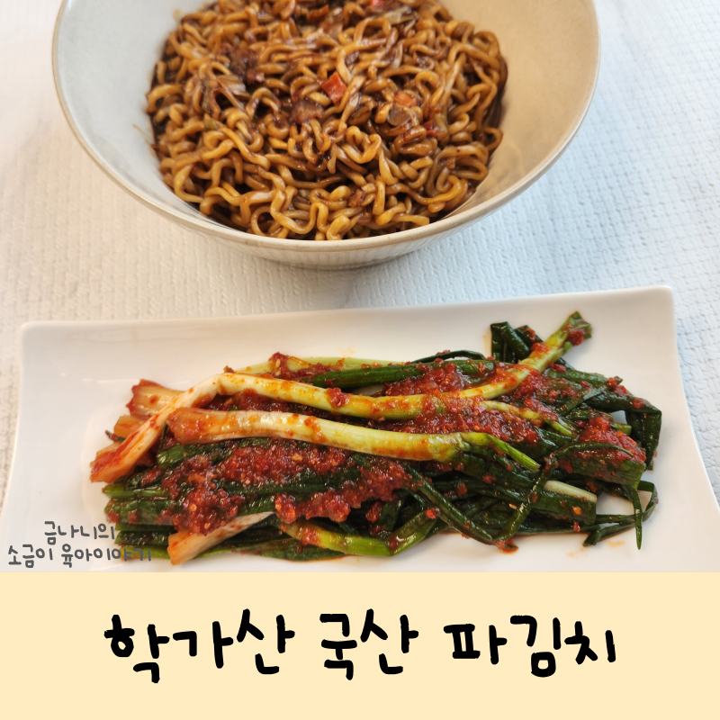 학가산 파김치 국산 재료 품담식품관 파김치