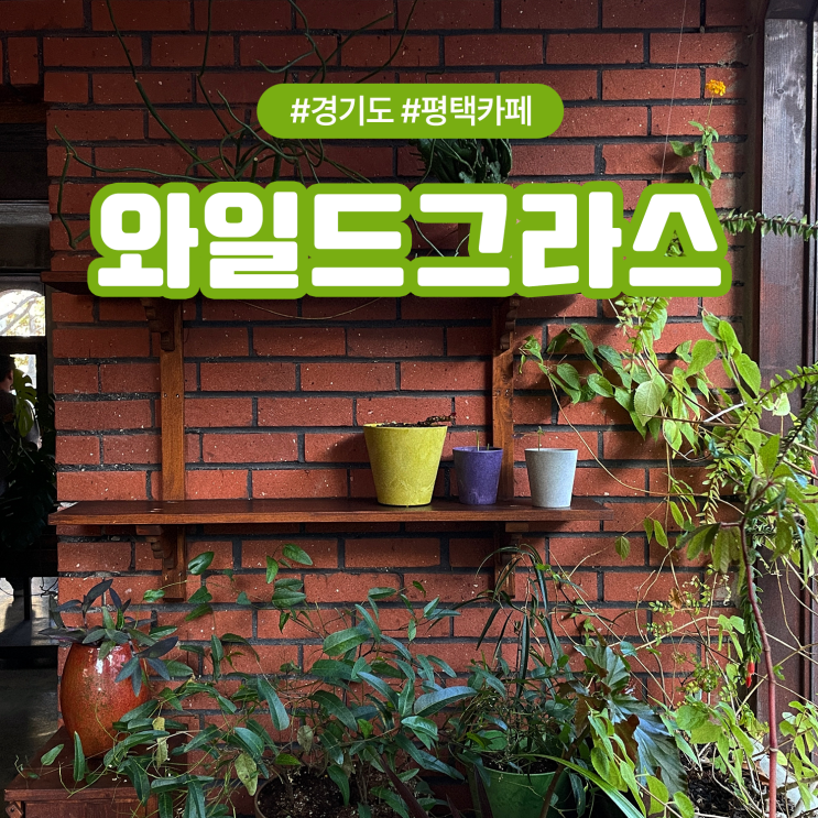  평택 비전동 혼카페 노트북하기 좋은 조용한 감성카페 와일드그라스