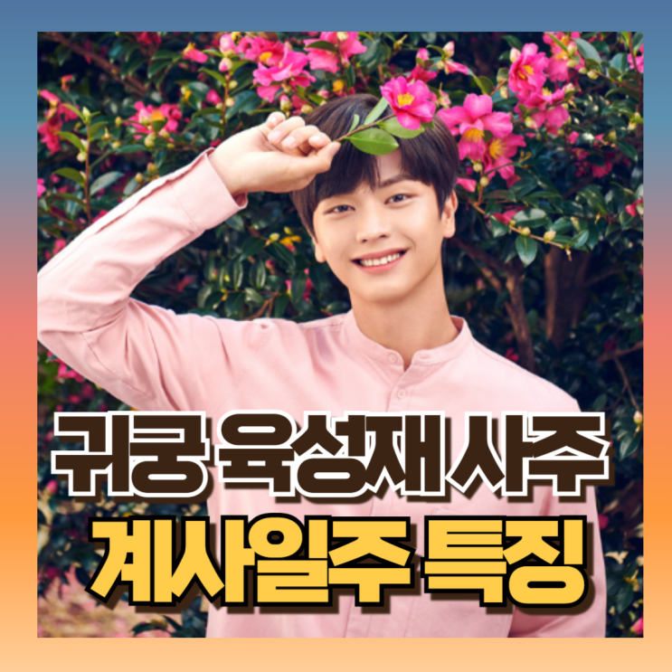 귀궁 <b>육성재</b> 사주 최고 팔자운세 이유는? (ft계사일주, 을경합... 