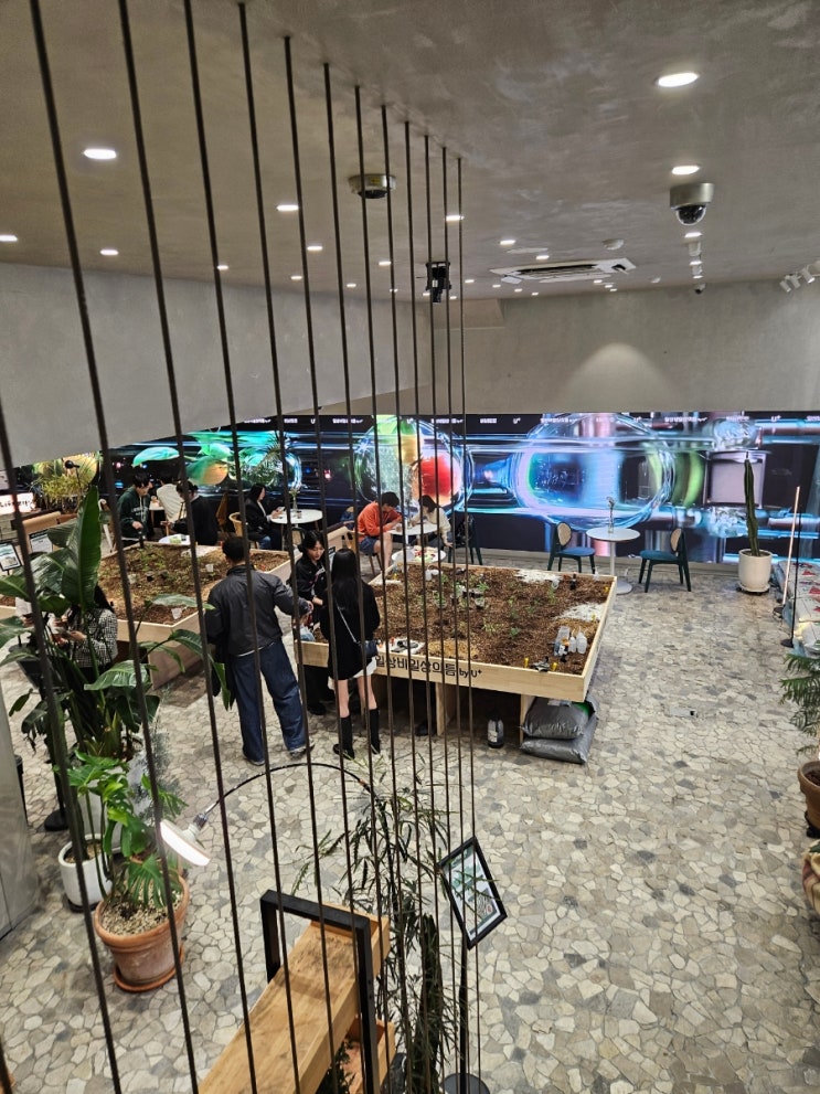  강남역 바바토토 팝업스토어 방문기