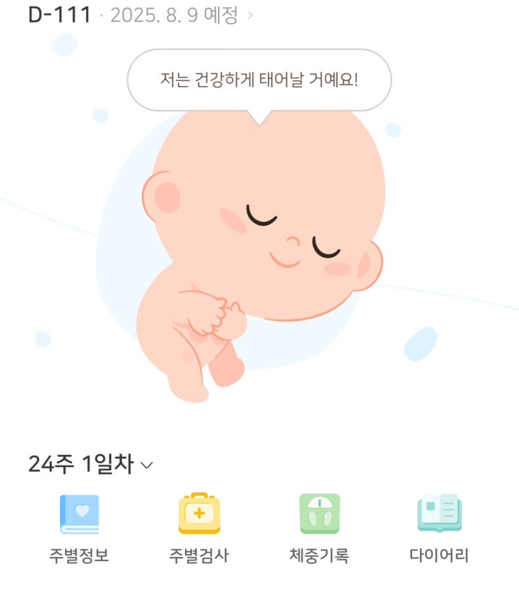  Week 24 of Pregnancy. 게을렀던 날을 반성하며