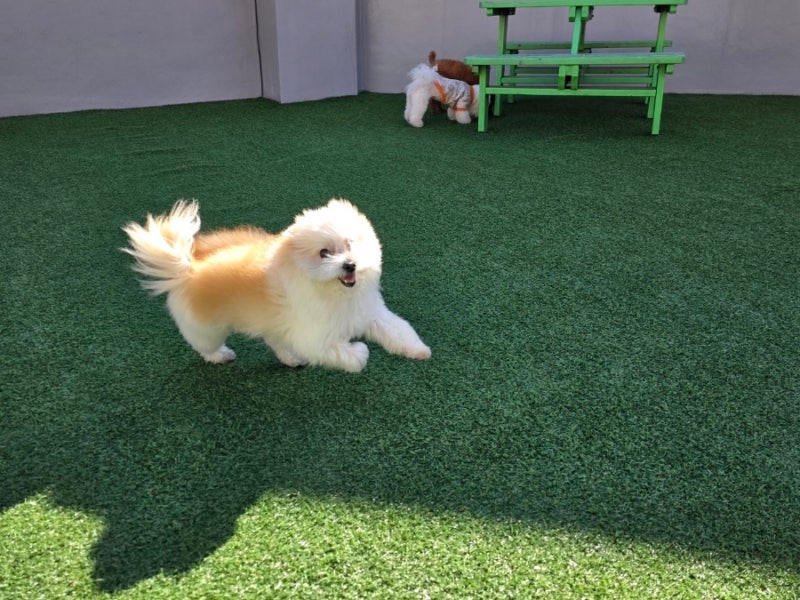 사진 3
