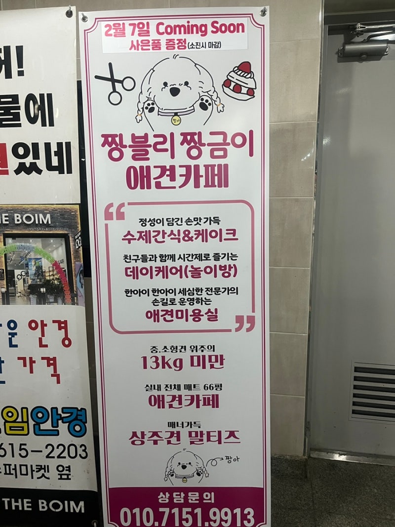 사진 5