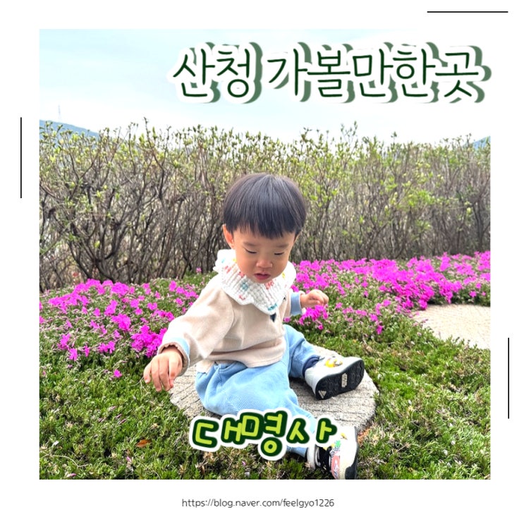  산청 가볼만한곳 사찰 꽃구경 꽃잔디 산청 대명사