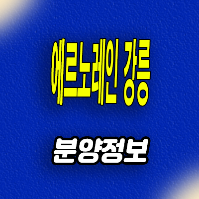  에르노레인 강릉 펜트하우스 홍제동 도시형생활주택 분양가