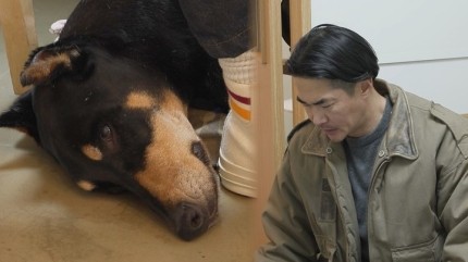 <b>배정남 반려견 벨</b>, <b>악성종양</b>... 수술까지 눈물의 선택 (<b>미우새</b>)
