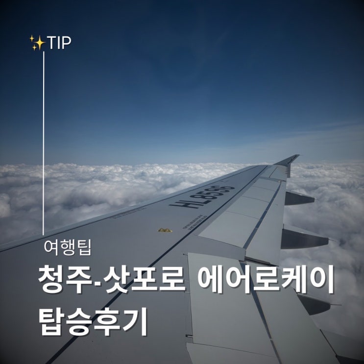  에어로케이 청주-삿포로 탑승 후기 온라인 체크인 수하물 추가 비용