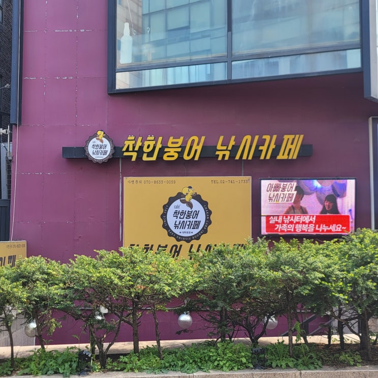  대학로 놀거리 혜화 실내 데이트 착한붕어낚시카페 대학로점