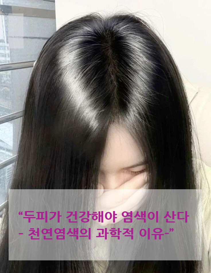  두피가 건강해야 염색이 산다