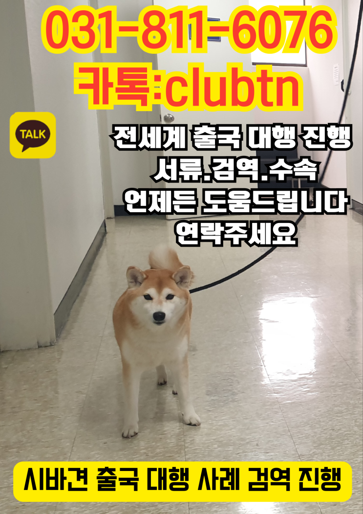  시바견 해외출국시 검역 대행 사례 ️ 강아지·고양이·대형견·맹견 해외운송 전문 서비스