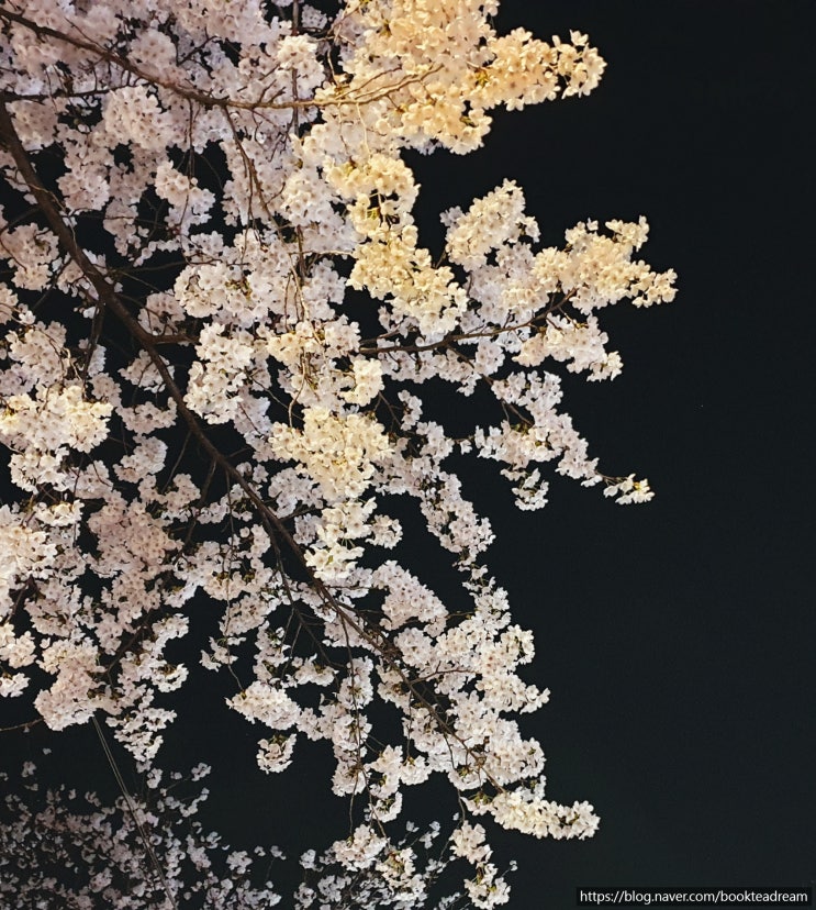  [감사일기0163] 4/20 근래의 행복일기