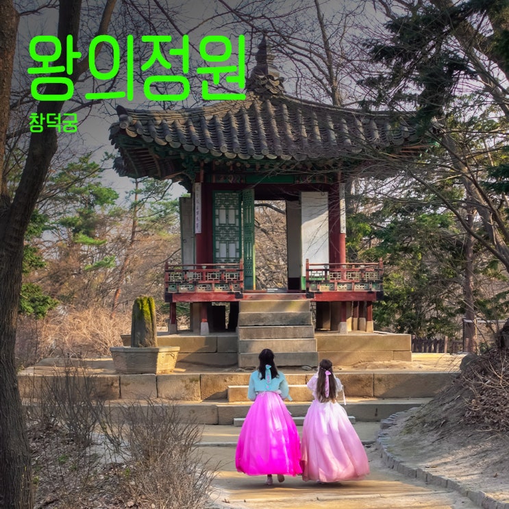  창덕궁 왕의정원, 느리게 걷는 사람에게만 열리는 조선왕조의 비밀정원, 2025년 3월의 기록