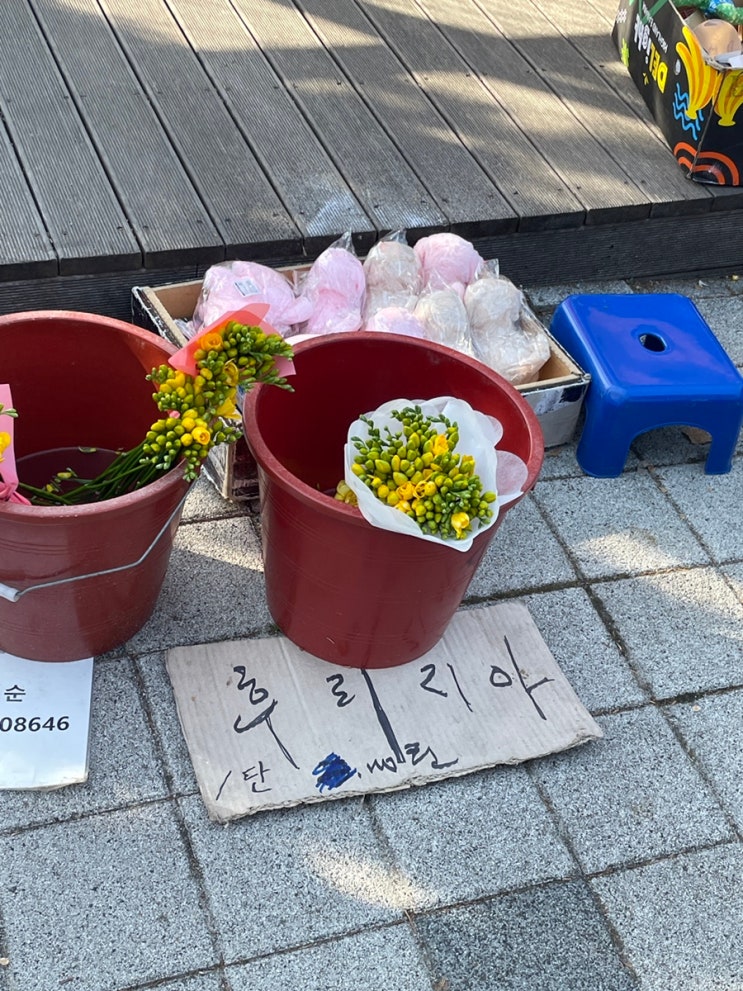 평화롭다사다난