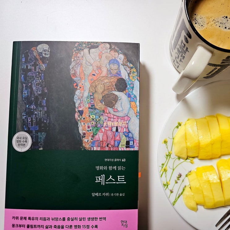  알베르카뮈 페스트 사유하게 하는 고전문학