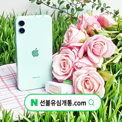  알뜰폰통신사 번호이동 vs 전환지원금 비교️